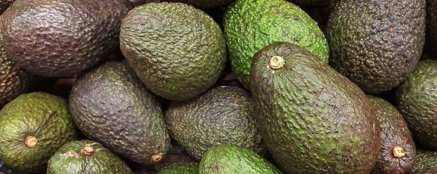 vitamina a